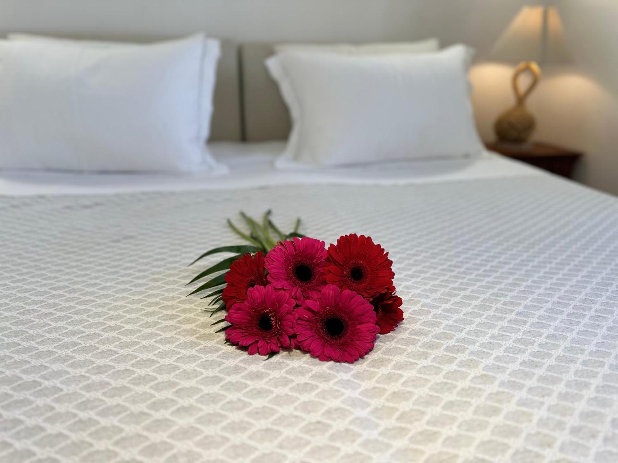 Divers House Agrari  Ngoại thất bức ảnh